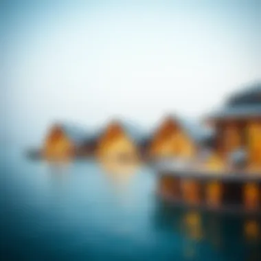 Magnificent Analyzing the Lagoon Project: An In-Depth Exploration