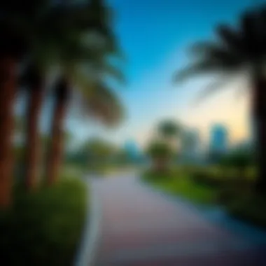 Magnificent Exploring Mushrif Park: An Insight into Dubai’s Green Oasis Magnificent Exploring Mushrif Park: An Insight into Dubai’s Green Oasis