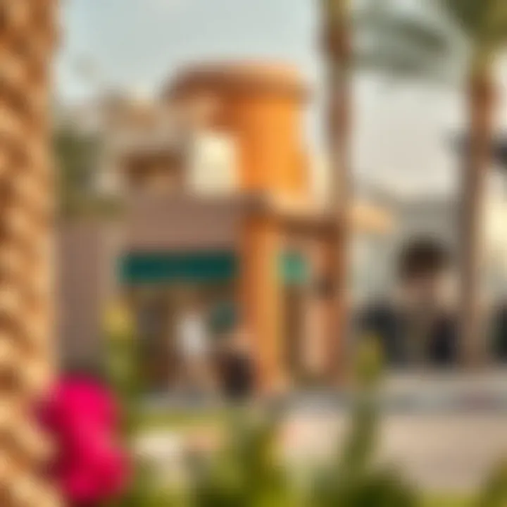 Community Life and Amenities in Al Rashidiya Local amenities and community features in Al Rashidiya area