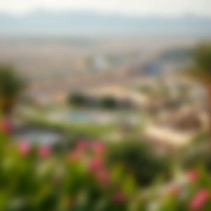 Scenic Landscapes of Al Reeman 2 Beautiful landscape and recreational spaces in Al Reeman 2