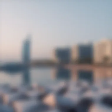Analyzing the Lagoon Project: An In-Depth Exploration Summary