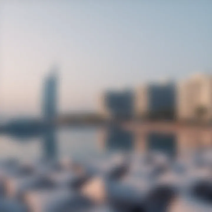 Analyzing the Lagoon Project: An In-Depth Exploration Summary