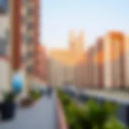 Comprehensive Guide to 1 BHK for Rent in Ruwais Introduction