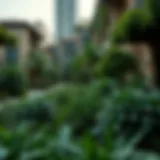 Urban Greenery in Dubai Oasis Lush greenery amidst urban architecture