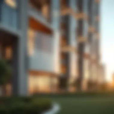 Exploring ACube Real Estate Development LLC in Dubai Summary Exploring ACube Real Estate Development LLC in Dubai Summary