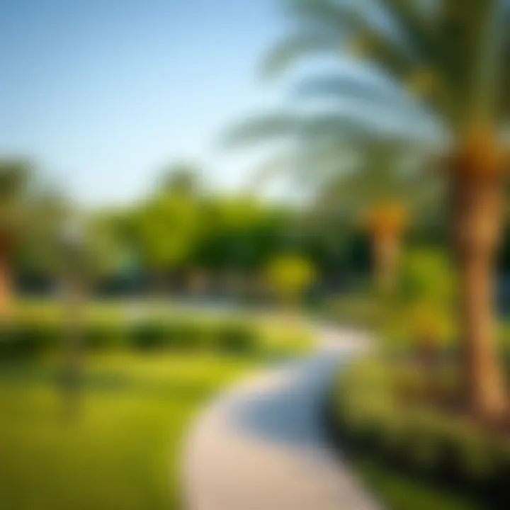 Green Spaces in Ajman Nuaimia Community park in Ajman Nuaimia