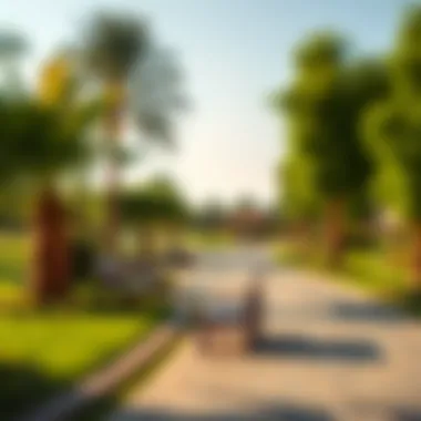 Lush Green Park Areas Near Al Mamzar Beach The lush green park areas adjacent to Al Mamzar Beach, offering a perfect setting for picnics and relaxation.