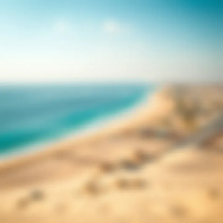 Panoramic View of Al Mamzar Beach A panoramic view of Al Mamzar Beach showcasing the pristine blue waters and golden sands under a clear sky.