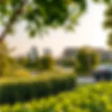 The Green Oasis of Barsha Park Lush greenery of Barsha Park