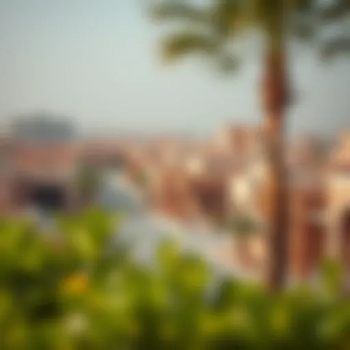A panoramic view of the vibrant community of بيت الفلاح showcasing its unique architecture