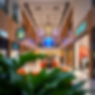 Welcoming Shopping Ambiance at Bin Shabib Mall An inviting interior view of a shopping area within the mall