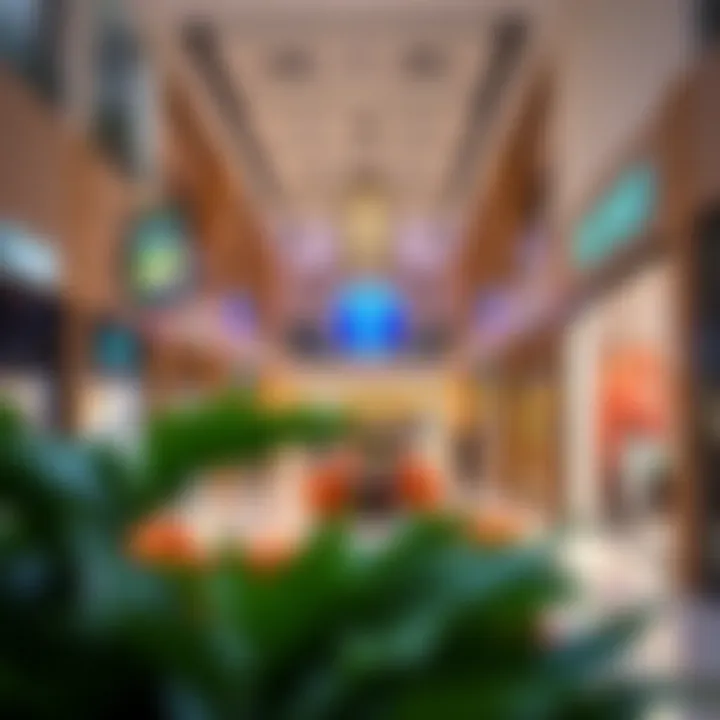 Welcoming Shopping Ambiance at Bin Shabib Mall An inviting interior view of a shopping area within the mall