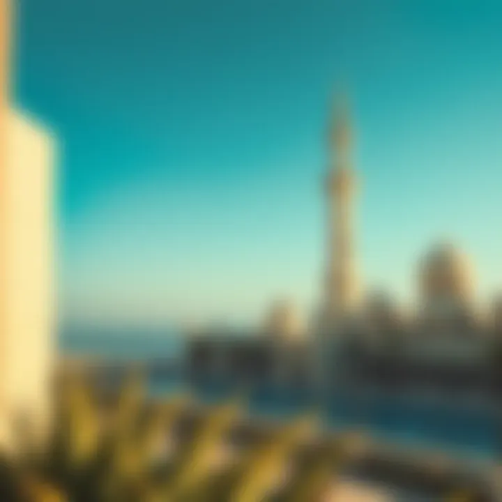 Exploring Holiday Experiences in the UAE Summary