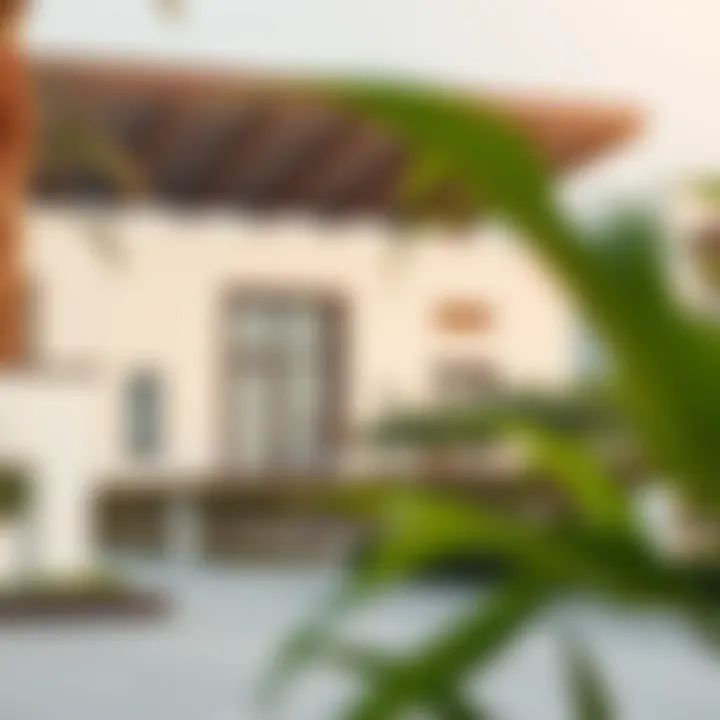 Exploring Residential Options in Dubai: A Comprehensive Guide Introduction