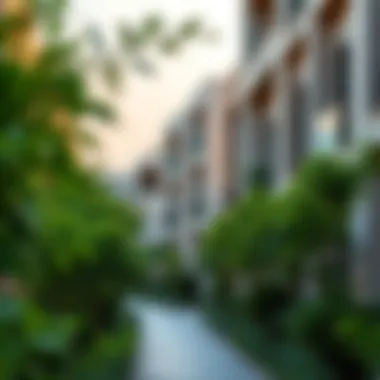 Serene Residential Spaces in Rolla Street A tranquil residential area in Rolla Street with lush greenery