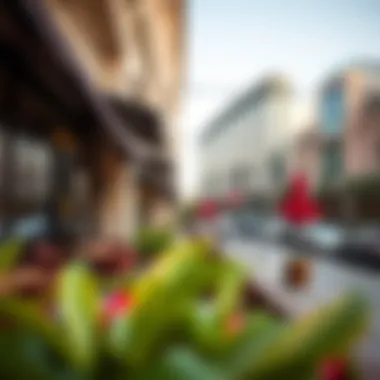 Notable Exploring the Cafés of Dubai Boulevard Notable Exploring the Cafés of Dubai Boulevard