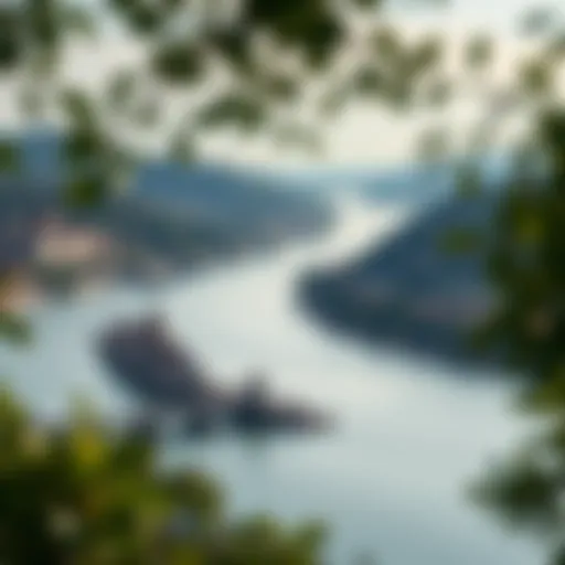 A scenic view of the Danube River winding through lush landscapes