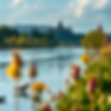 Biodiversity: Life Along the Danube Diverse wildlife along the banks of the Danube River