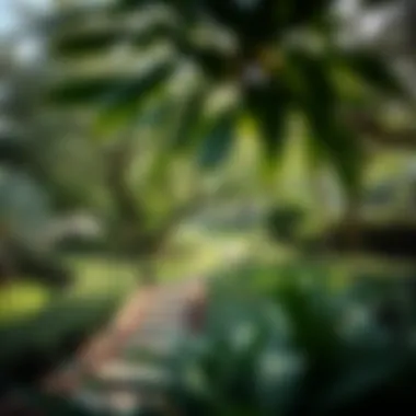 A serene park within the Garden Home community showcasing lush greenery