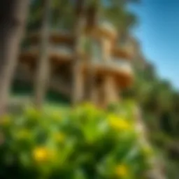 Exploring the Ghaf Woods: An Insight into a Unique Ecosystem in Dubai Introduction