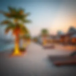 Hudariyat Beach: A Comprehensive Exploration Introduction