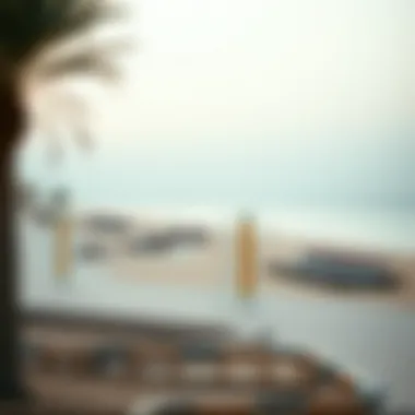 Notable Hudariyat Beach: A Comprehensive Exploration Notable Hudariyat Beach: A Comprehensive Exploration