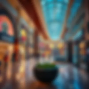 Insights into Grand Mall Al Quoz: A Comprehensive Analysis Summary Insights into Grand Mall Al Quoz: A Comprehensive Analysis Summary