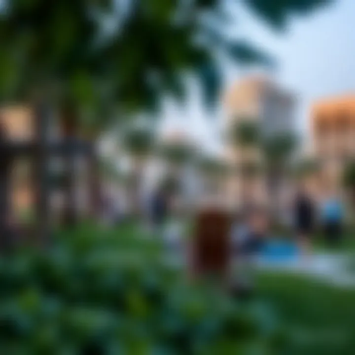 Engaging Community Spaces at Oasis Residence Community park in Oasis Residence demonstrating vibrant lifestyle interactions