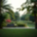 A serene park landscape with lush greenery in Dubai