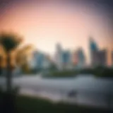 Stunning skyline view of Park Vista