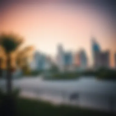 Stunning Skyline of Park Vista Stunning skyline view of Park Vista