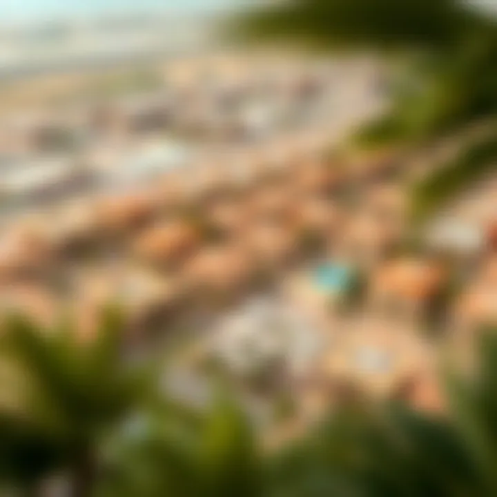 Community Layout of Petalz by Danube Bird's eye view of the community layout of Petalz by Danube