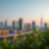 Stunning skyline view of Dubai with Petalz by Danube in focus