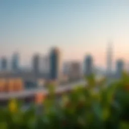 Stunning skyline view of Dubai with Petalz by Danube in focus