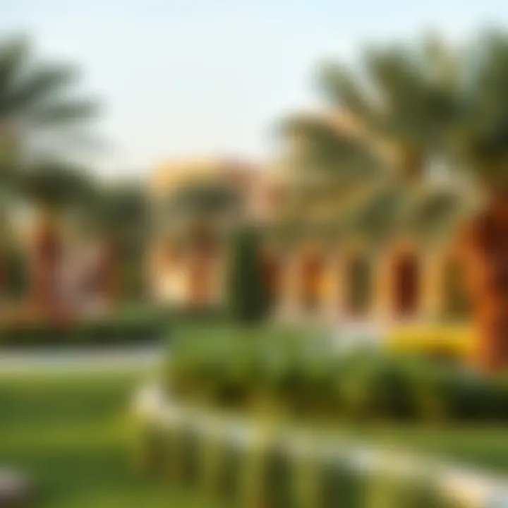Inviting Green Spaces and Amenities of Shalehat Mabzira Al Khadra Green spaces and amenities in Shalehat Mabzira Al Khadra