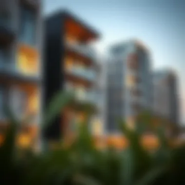 Modern architectural design of residential units at The Oasis Dubai