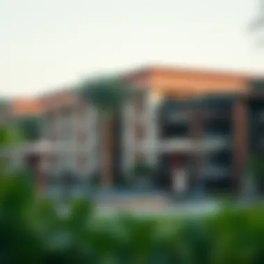 Vibrant community spaces within The Oasis Dubai