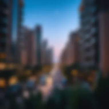The Transformation of Al Rameelia in Dubai's Real Estate Landscape Summary The Transformation of Al Rameelia in Dubai's Real Estate Landscape Summary