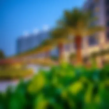 Vibrant parks and community spaces in Business Bay