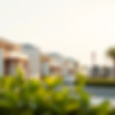 Understanding Home Ownership in Dubai Summary Understanding Home Ownership in Dubai Summary