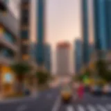 Municipal Regulations Overview Overview of municipal regulations in Dubai