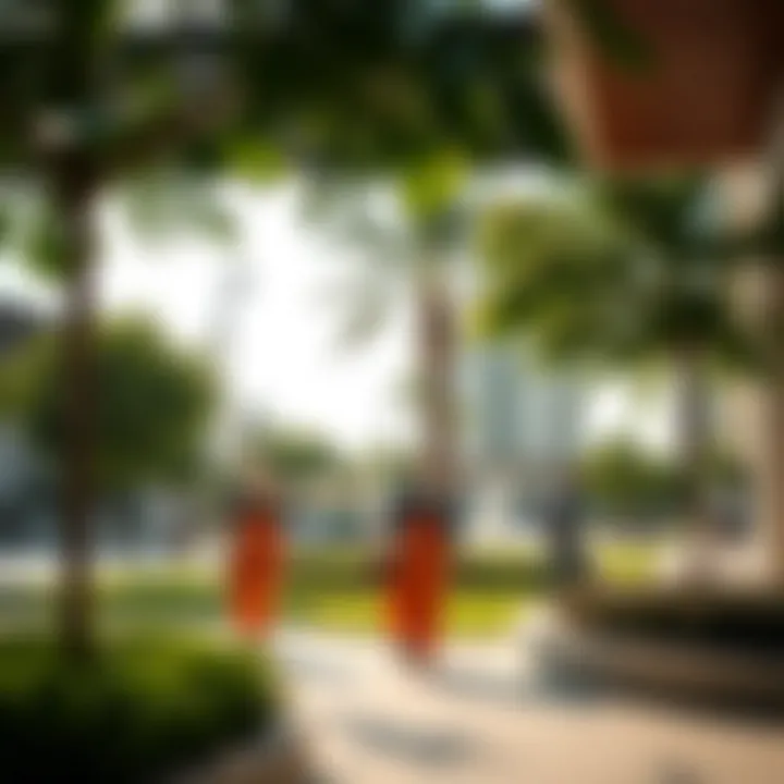 Community Life in Villa Nova Lush green community spaces in Villa Nova Dubai