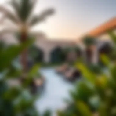 Tranquil Relaxation Spots at Wadi Hub Relaxing area within Wadi Hub surrounded by lush greenery